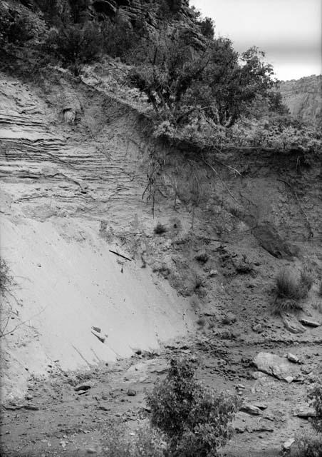 Red Alluvium in the Tsegi canyon