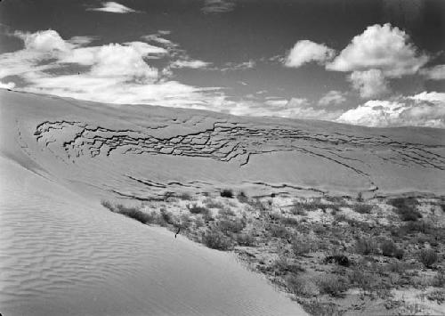 Sand dunes at Awatovi