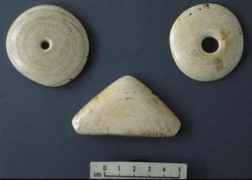 Shell neck ornament