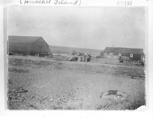 Pacific Steam Whaling Company's Buildings at Herschel Island, 1894.