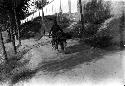 Man pushing wheelbarrow on dirt road