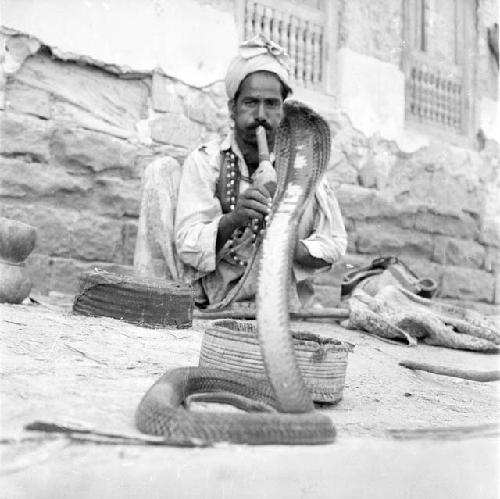 Hashim, a snakecharmer, plays, with snake in foreground