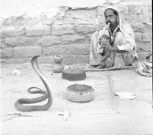 Hashim, a snakecharmer, plays music with snake in front