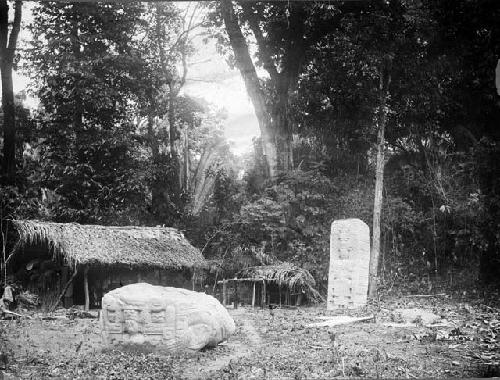 Animal B and Stela A - Used in Exhibit Room 35, 1977