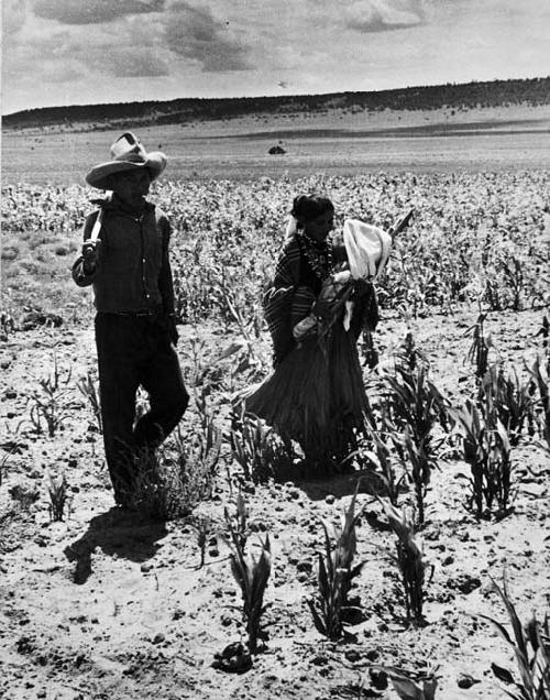 Reproduction of Lee Pino, wife and infant son in their cornfield, August 1940