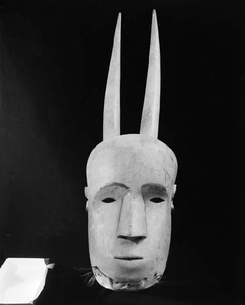 Face mask with long horns