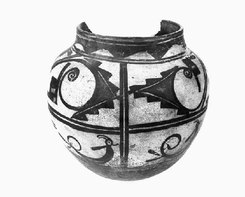 Polacca Style B Polychrome Jar