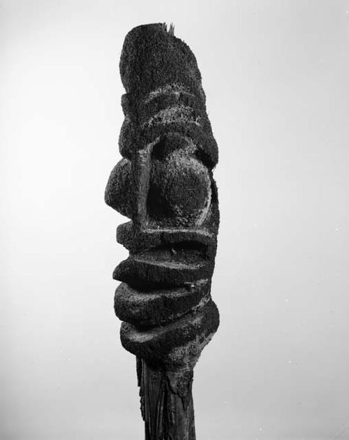 Tree fern head called "Panarat," malekula tribe, New Hebrides