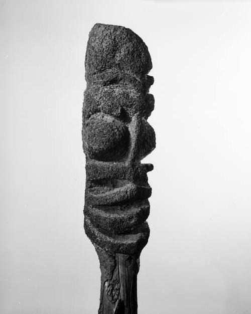 Tree fern head called "Panarat," malekula tribe, New Hebrides