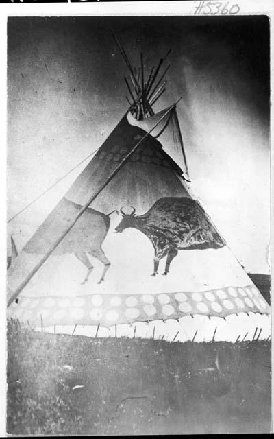 Teepee with buffalo painted on outside