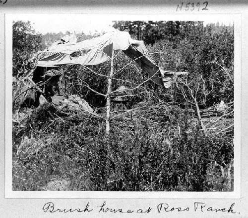 Brush house at Ross Ranch