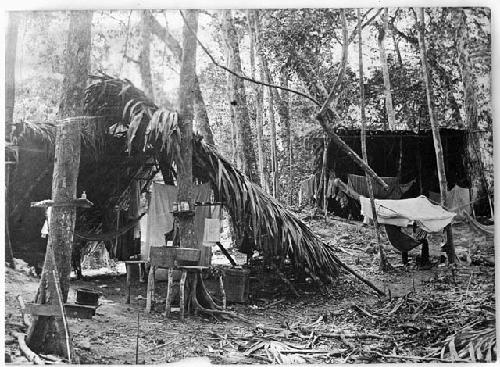 Tozzer's camp; 1909-1910 expedition to map Tikal, Homul, and Nakum