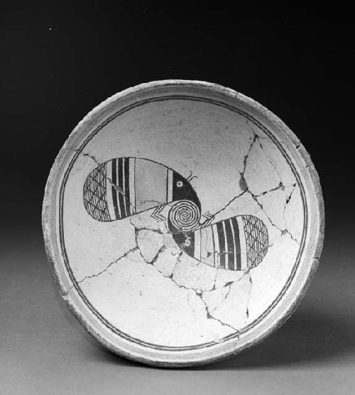 mimbres bowl with polychrome insect found three miles from Swarts Ranch; east side of Mimbres River