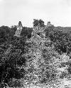 Tikal- temple II