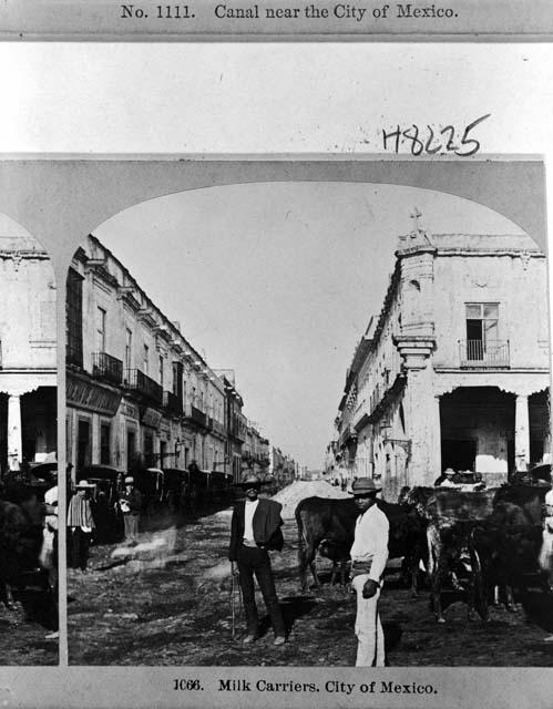 Milk carriers, City of Mexico