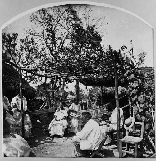 Men and women seated under arbor