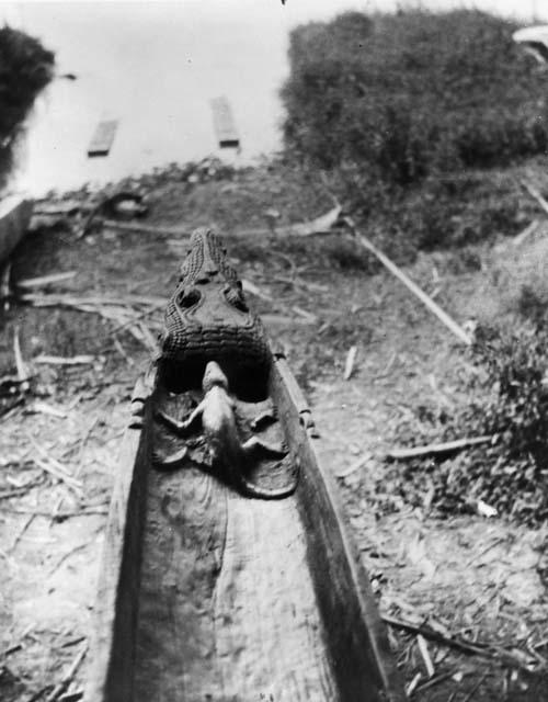 Figurehead of canoe, ornamented with a crocodile on the prow and a lizard inside