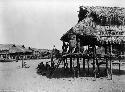 Village scene, Port Moresby, Papua New Guinea