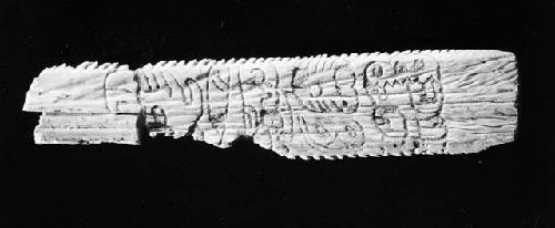 inscribed stingray spine