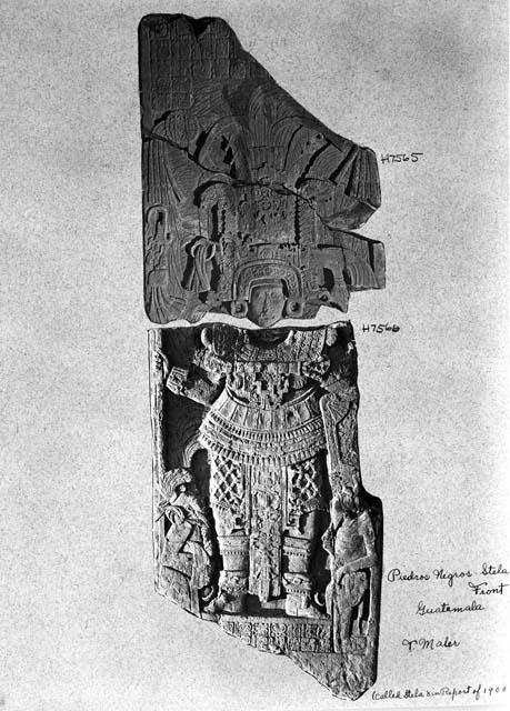 Stela 8, Piedras Negras, in two pieces