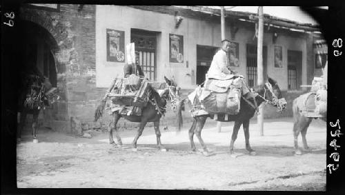 Men ride horses loaded with cargo