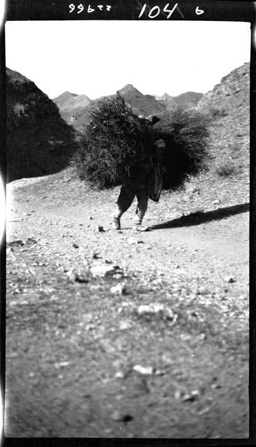 Man carrying large load on back