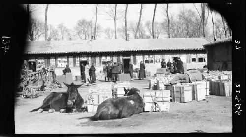 Animals lie next to cargo