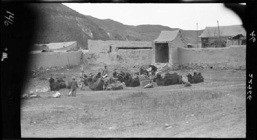 Animals and people in a field