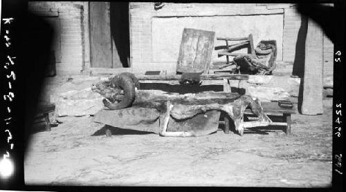 Animal head and skin on cart in street