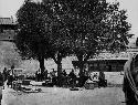 Merchants selling their goods under the trees of 'market square'