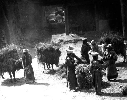 Women selling fodder in the marketplace