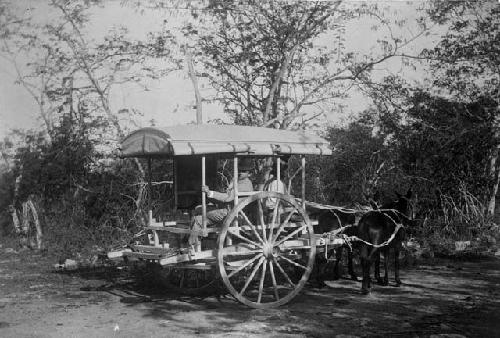 Men in horse-drawn wagon on dirt road