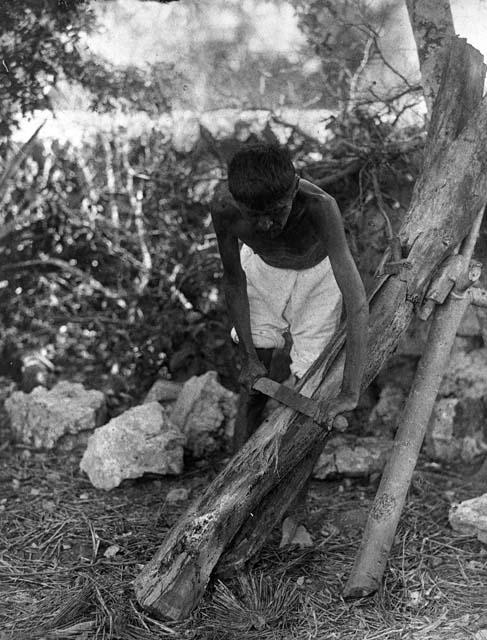 Indian man scraping henequin with paite