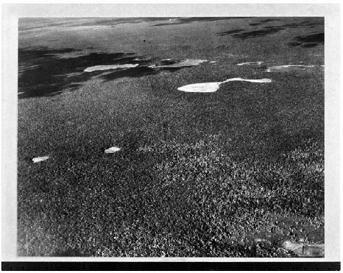 Aerial view of Causeway