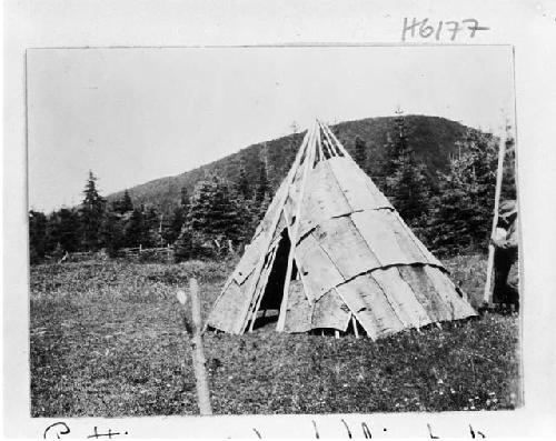 "Putting on poles holding bark strips"; Micmac wigwam stages.