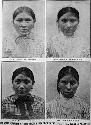 Four native women head shots, courtesy Cabot Science Library, Harvard University
