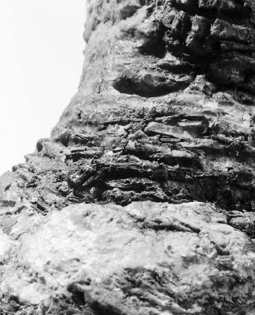 Detail, basketry remains on copal