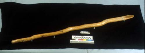 Digging stick, probably oak or mesquite wood. 117.5x5x5 cm.