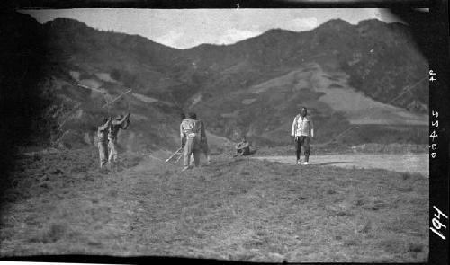 People working in field