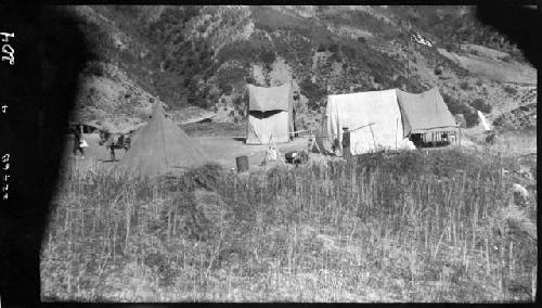 Tents set up in field