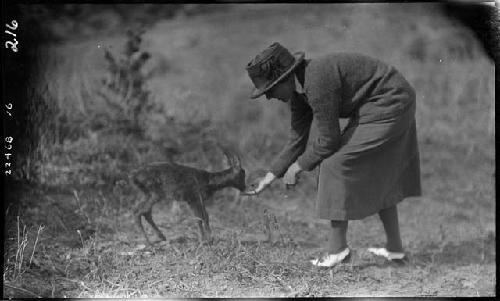 Janet Wulsin feeds animal