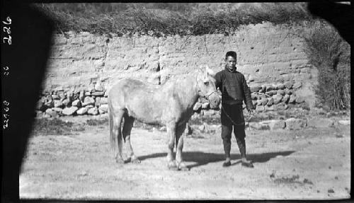 Man stands with horse