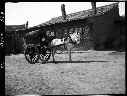 Horse pulling cart