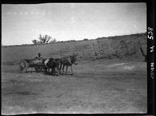 Horses pulling wagon with person riding