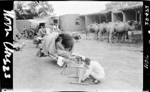 Camels and wagons