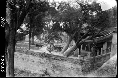 Building and trees