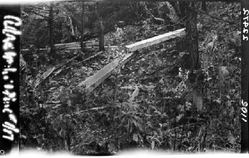 Boards lying in wooded area