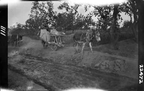 Horse pulling wagon