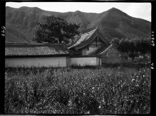 Landscape with building