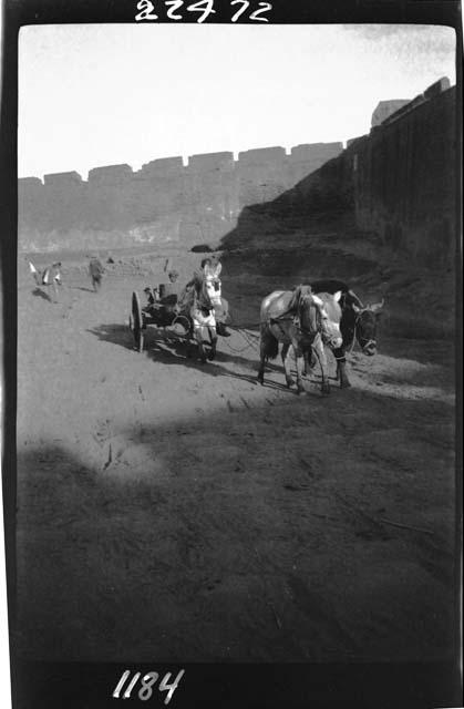 Horses pulling wagon